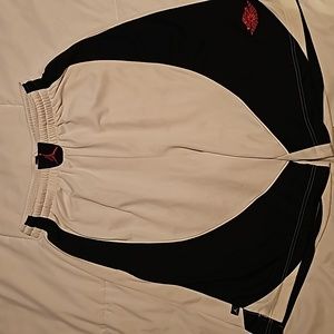 Air Jordan shorts